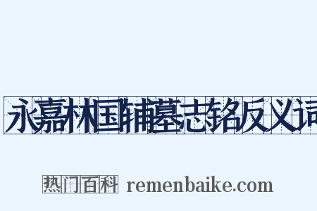 永嘉林国辅墓志铭反义词是什么意思的图片